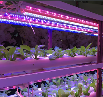 9植物生长灯管.png